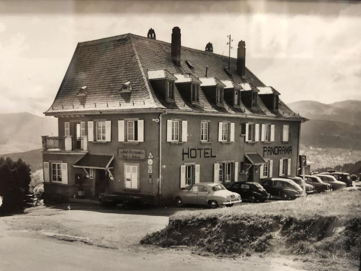 Hotel Panorama Munster  Exteriér fotografie